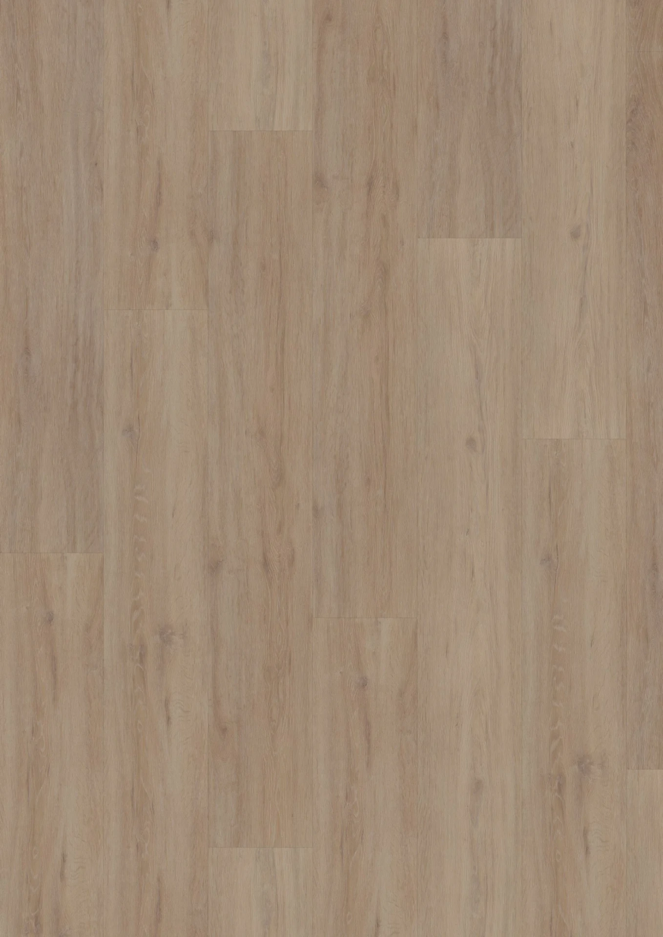 Hoomline Fusion XL 55 Dryback Gotham Oak Oiled