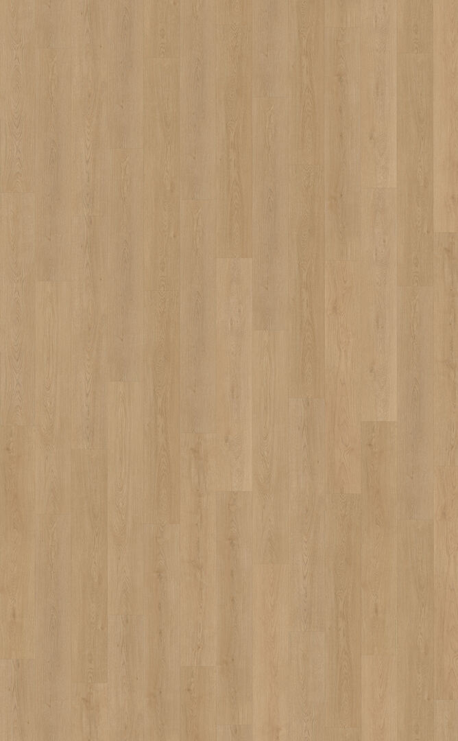 Belakos Monastro 930 | Rigid Click Rechte plank