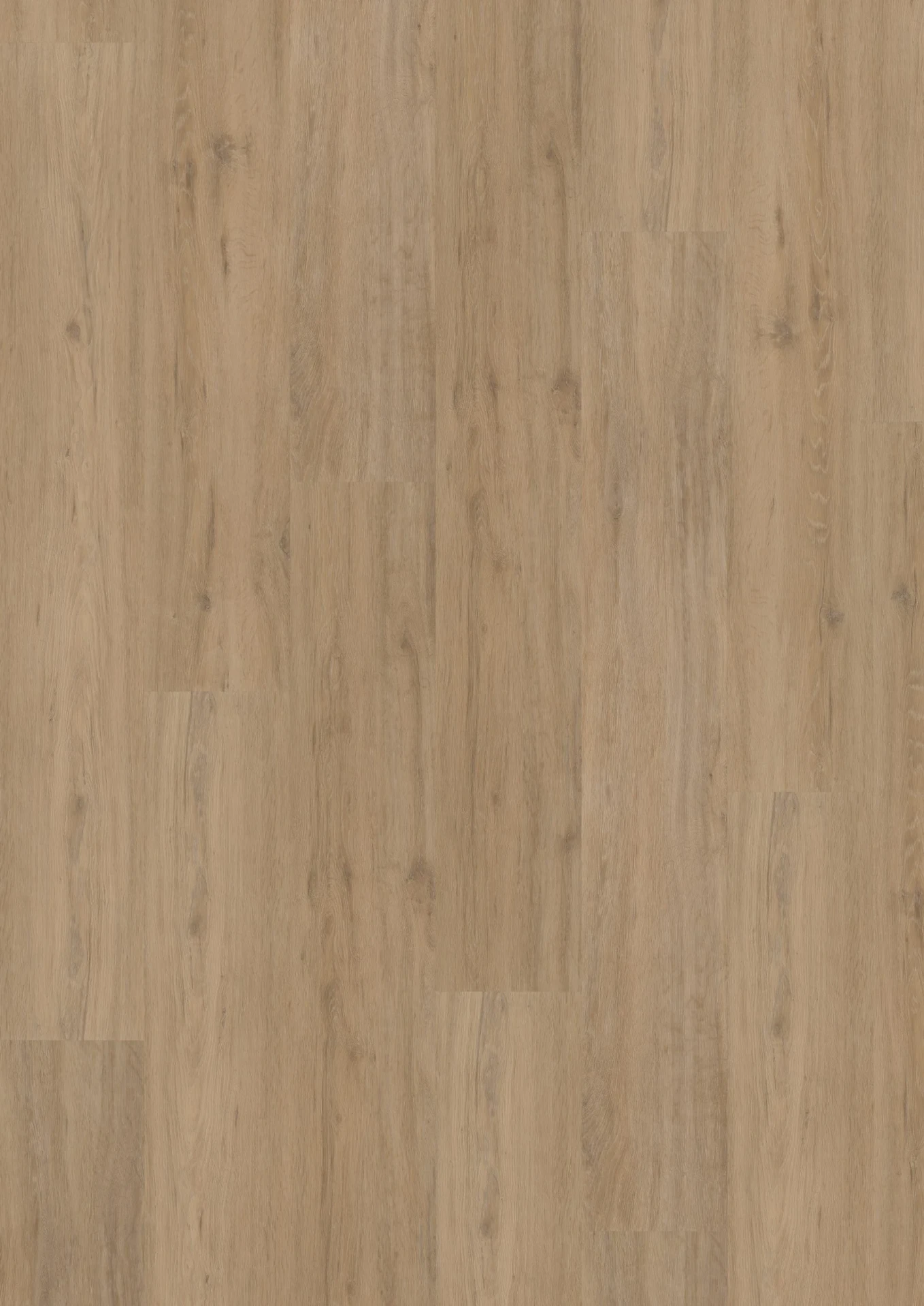 Hoomline Fusion visgraat 55 Dryback Gotham Oak Natural