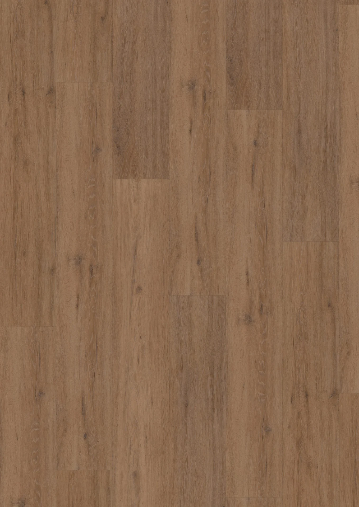 Hoomline Fusion XL 55 Dryback Gotham Oak Honey