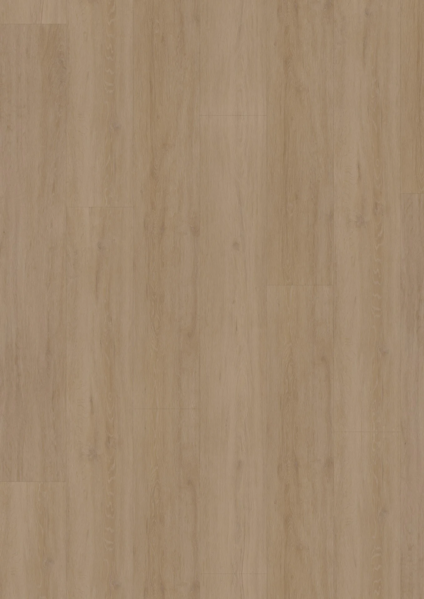 Hoomline Fusion visgraat 55 Dryback Gotham Oak Flax
