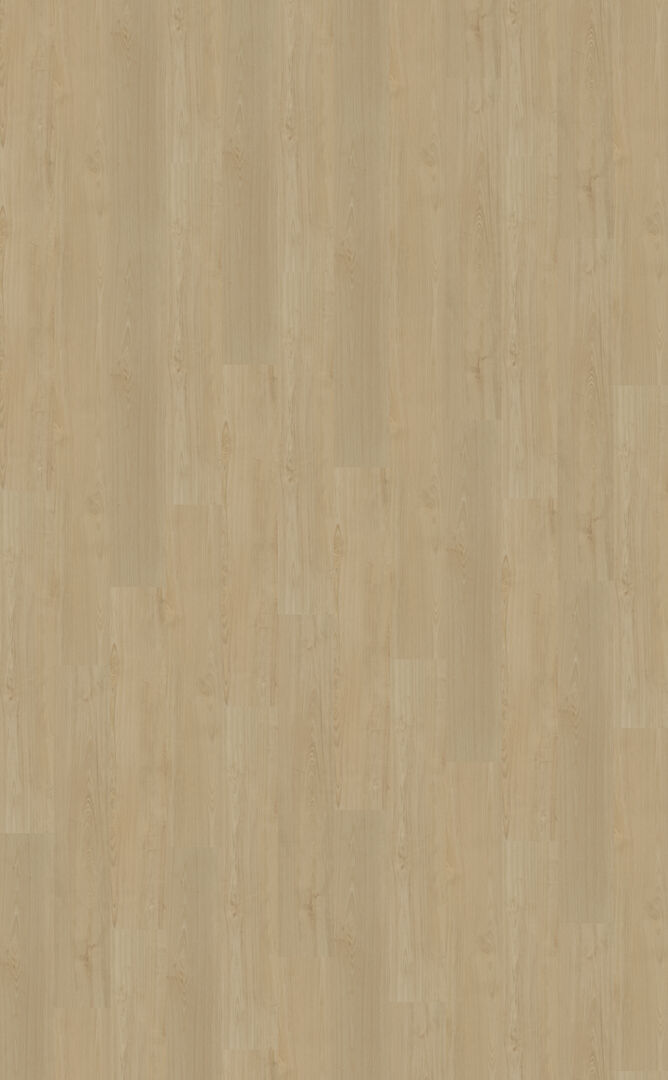 Belakos Portico 550 Dryback Rechte plank