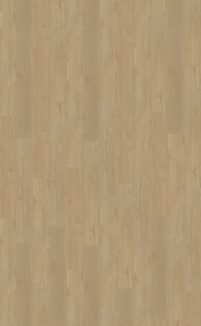 Belakos Portico 560 Dryback Rechte plank