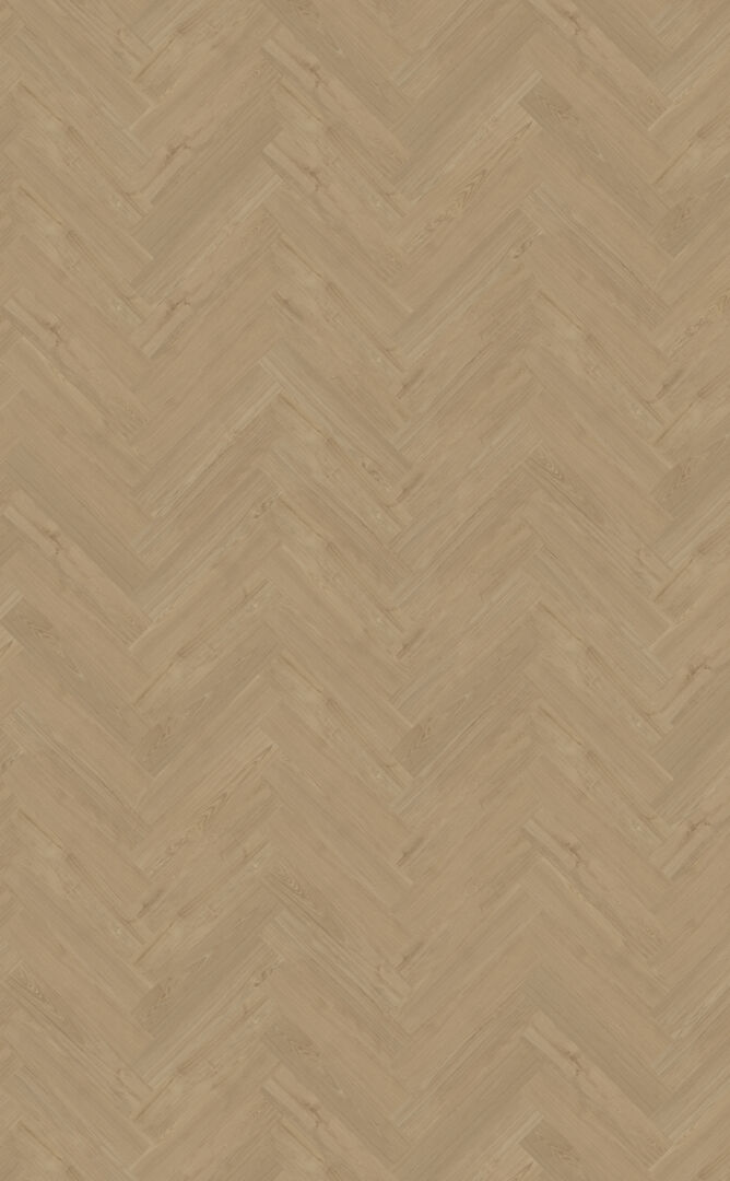 Belakos Portico visgraat XL 54 Dryback Visgraat