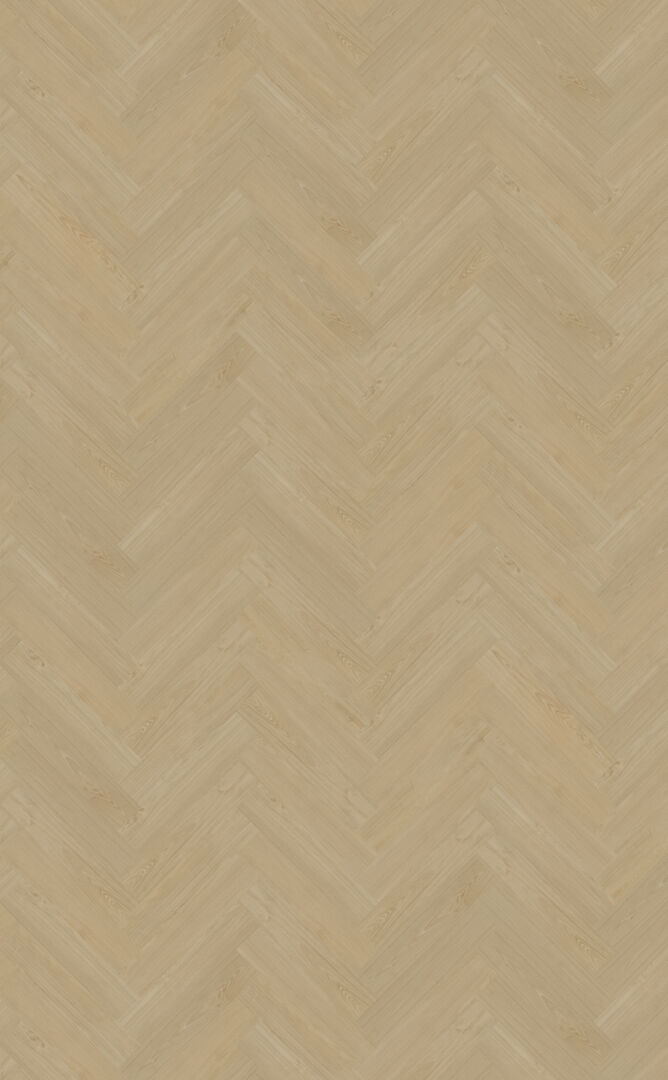 Belakos Portico visgraat XL 55 Dryback Visgraat