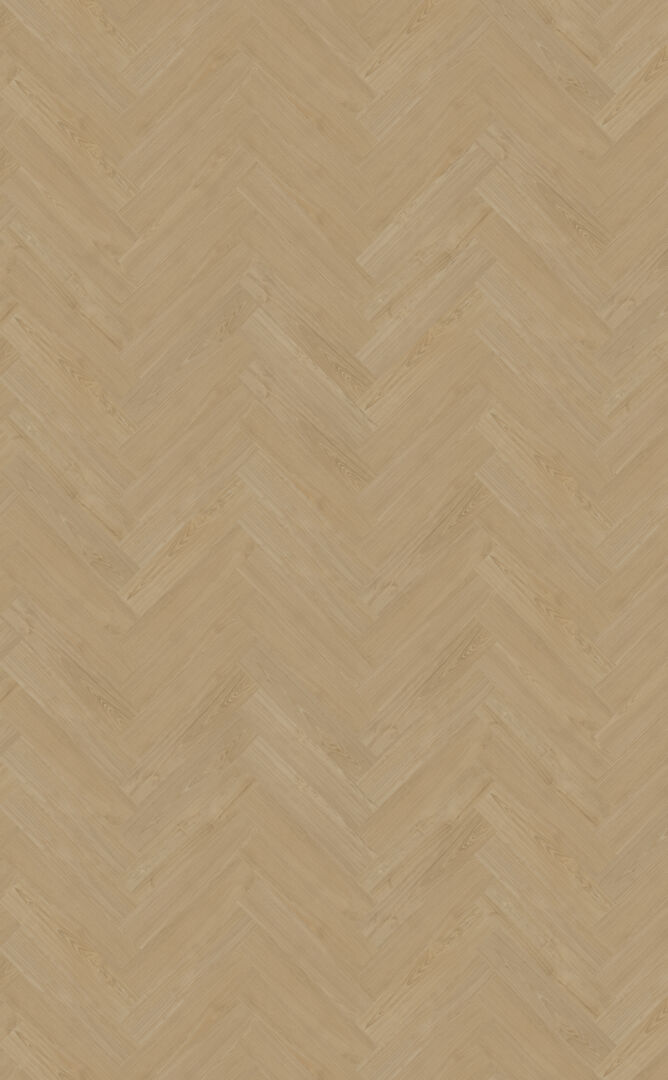 Belakos Portico visgraat XL 56 Dryback Visgraat