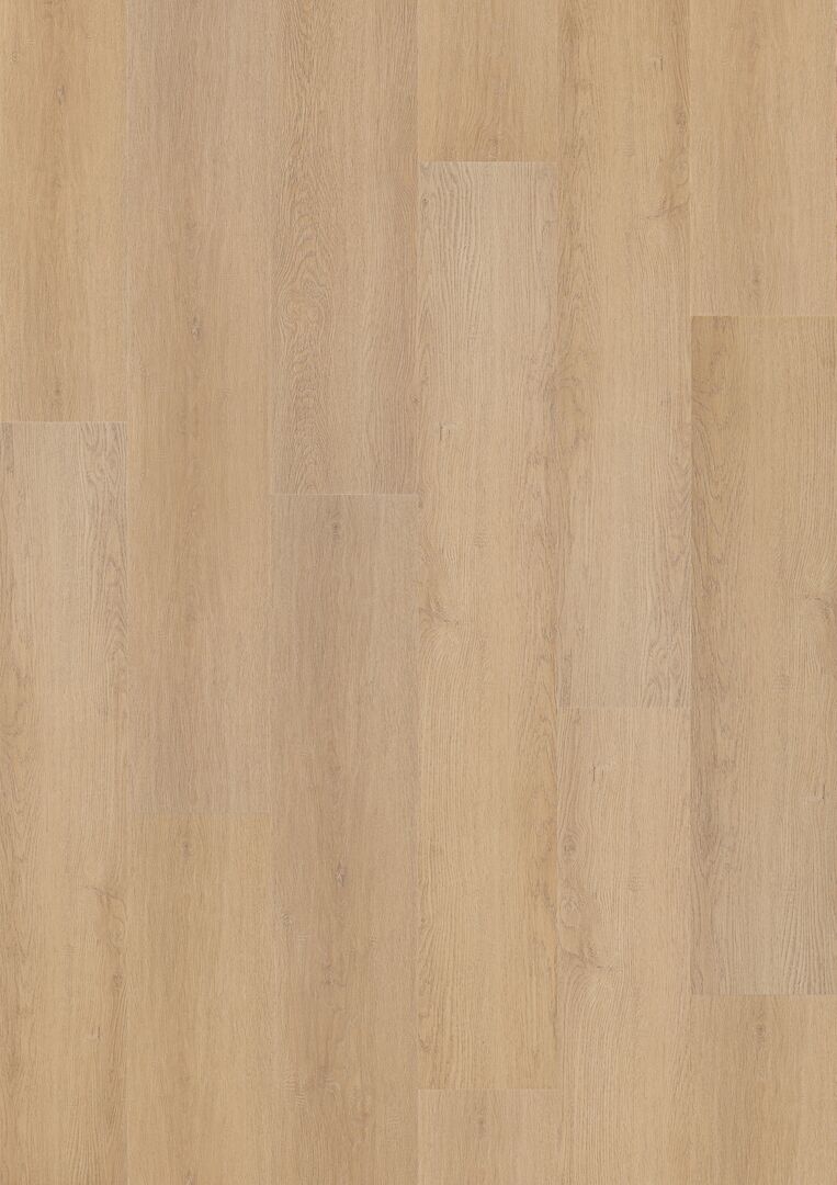 Hoomline Prestige Dryback plank Monaco 5066