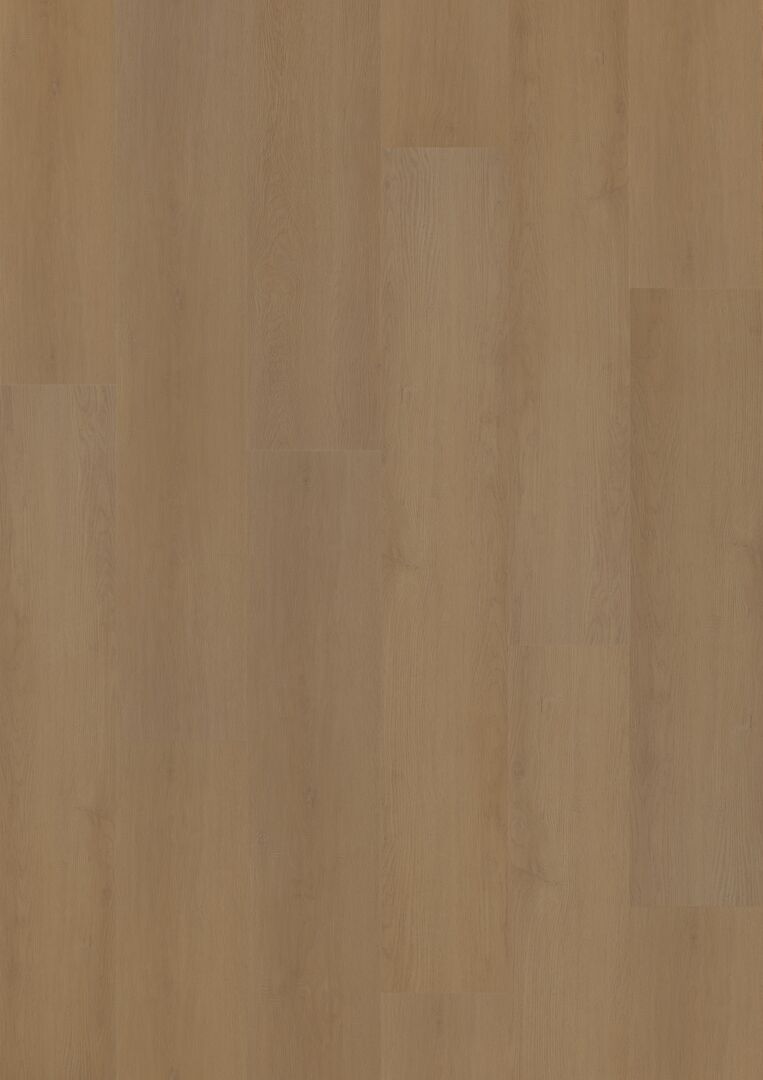 Hoomline Prestige Dryback plank Nice 5053